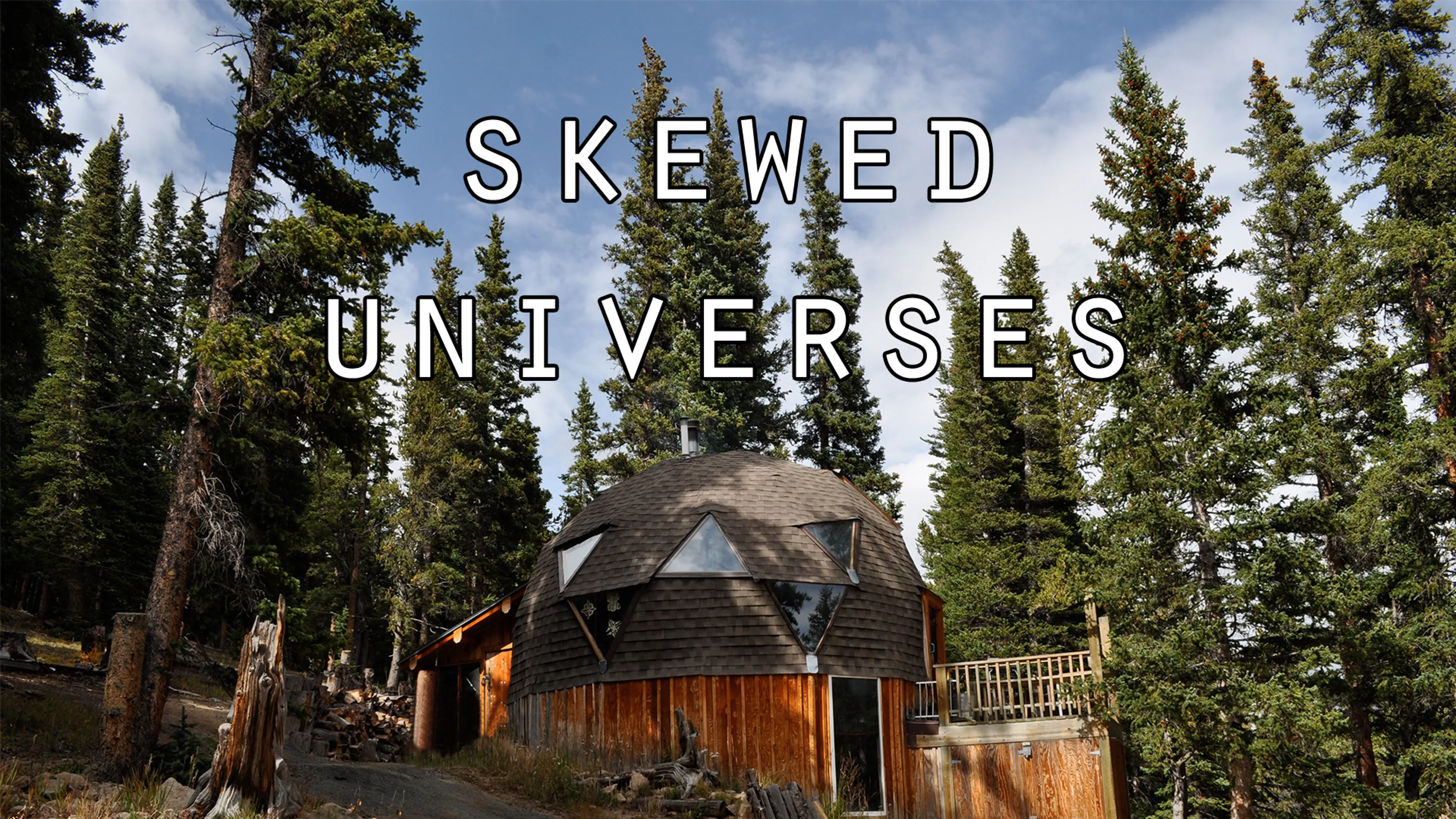 Skewed Universes poster